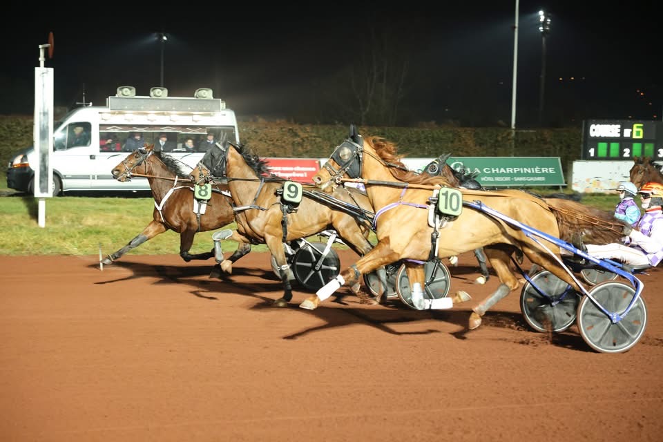  REUNION HIPPIQUE JEUDI 12 MARS À SAINT GALMIER