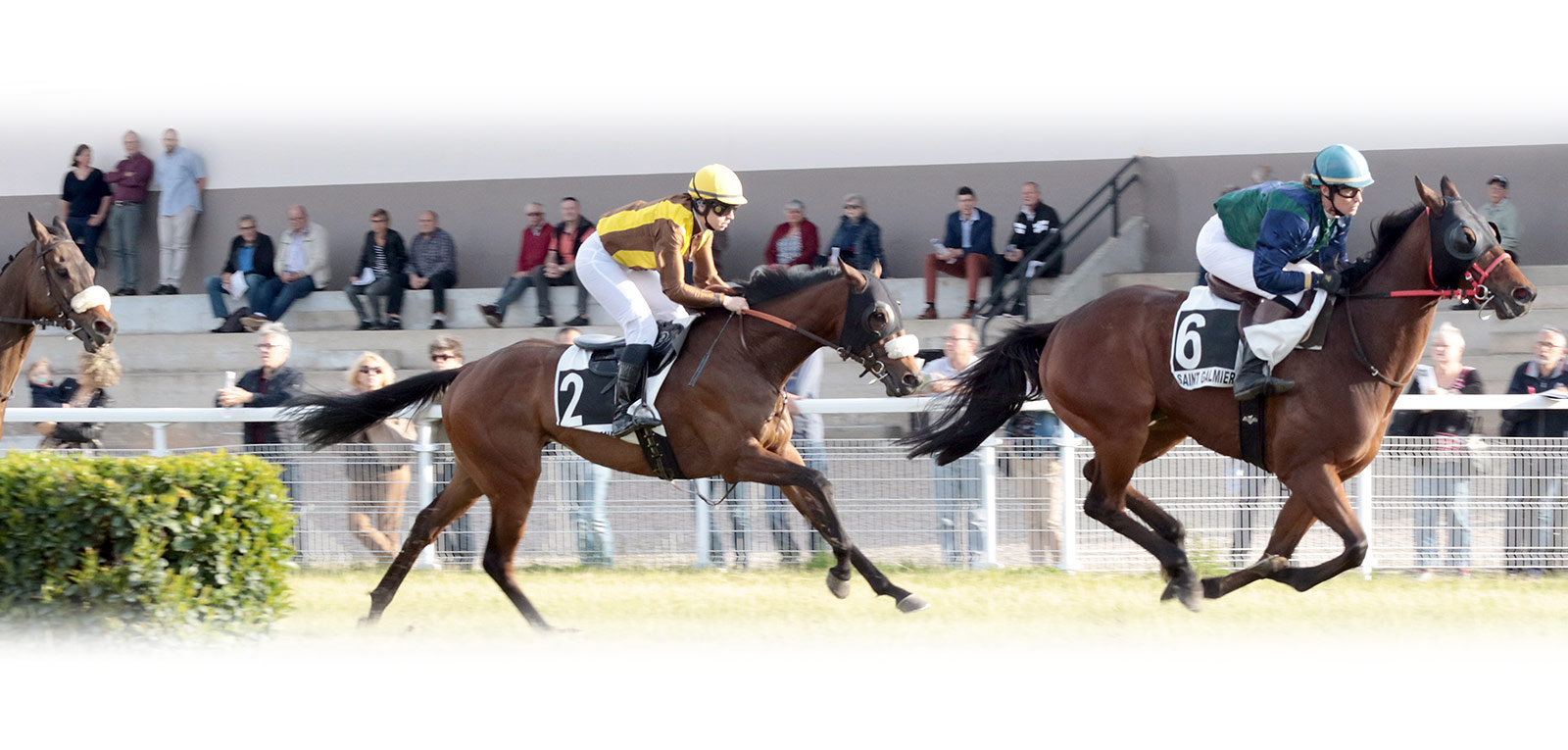 Course de trop attelé