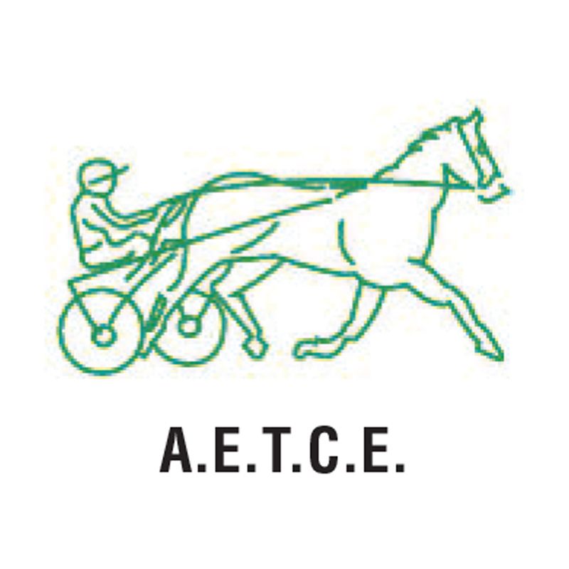 A.E.T.C.E