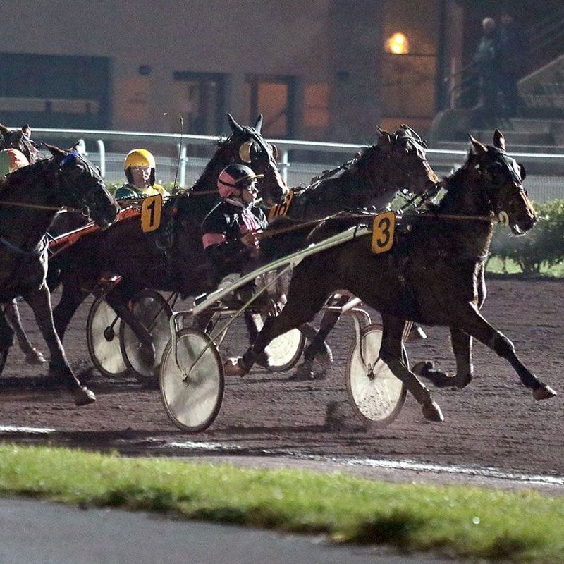 Visite guidée de l'hippodrome de St Galmier