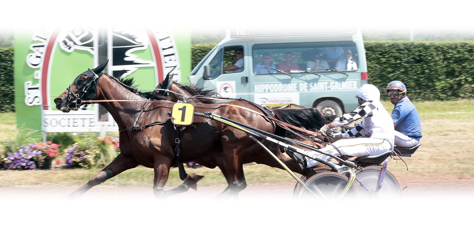 Course de trot attelé