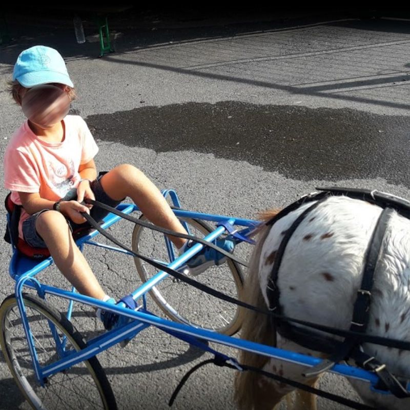 Balade à poney à l'hippodrome de Feurs