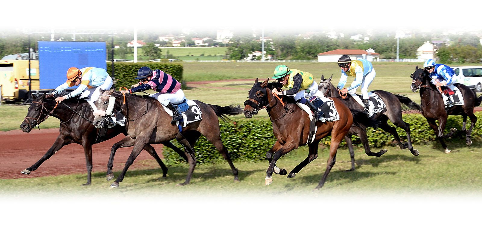 Jockey à l'hippodrome de Feurs