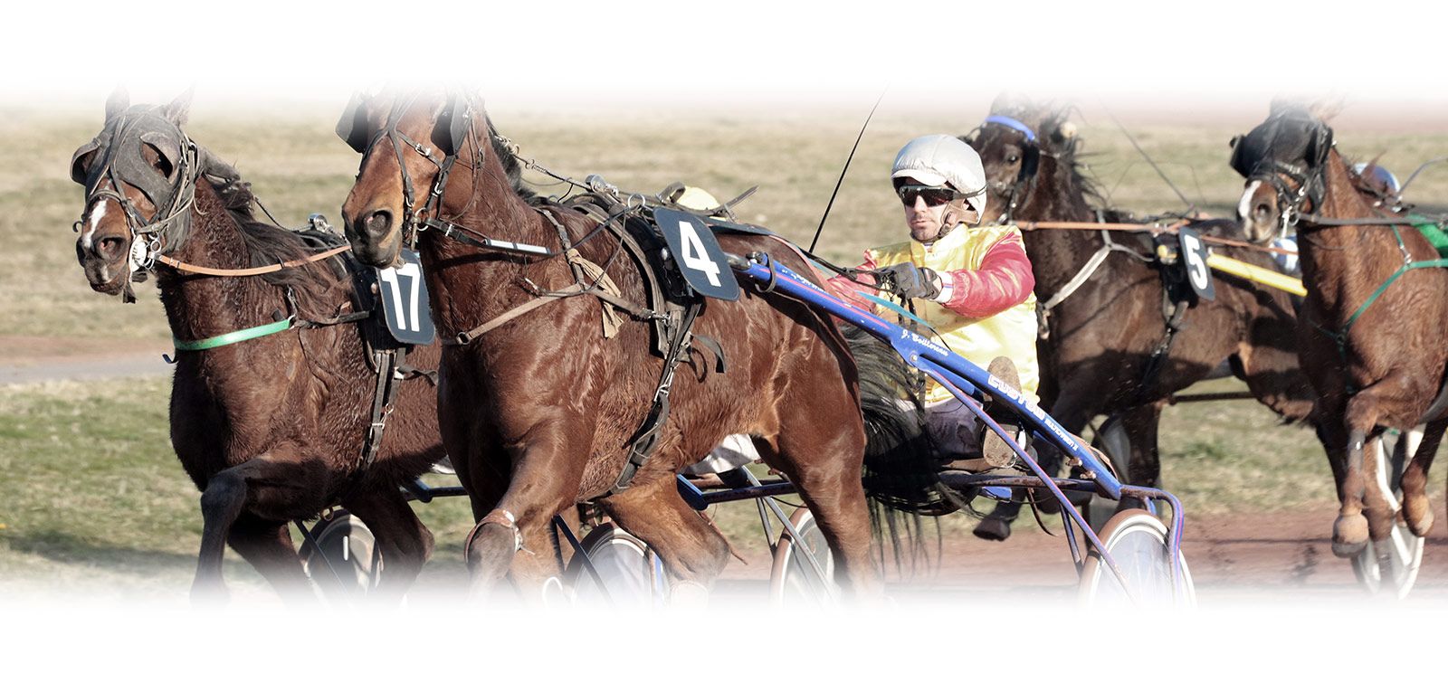 Course de l'hippodrome de Feurs